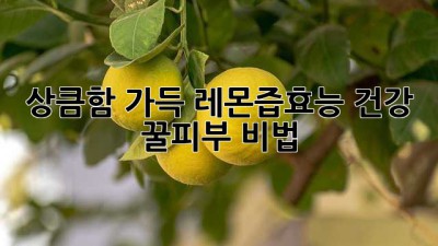 상큼함 가득! 레몬즙효능🍋 건강 & 꿀피부 비법🍯