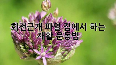 회전근개 파열? 집에서 하는 재활 운동법!