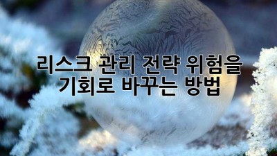 리스크 관리 전략: 위험을 기회로 바꾸는 방법