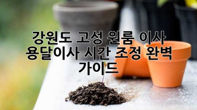 강원도 고성 원룸 이사, 용달이사 시간 조정 완벽 가이드!