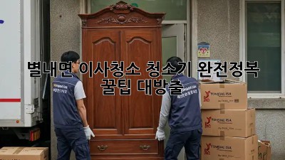 별내면 이사청소🧹 청소기 완전정복💯 꿀팁 대방출